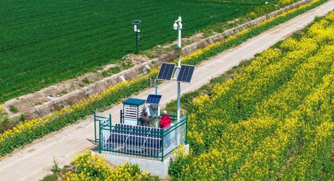 Ladang Pintar China Menghidupkan Elemen Inovasi